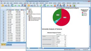 IBM SPSS Statistics Crack + Torrent Free Download