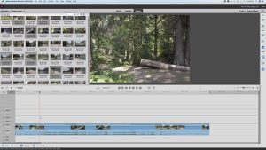 Adobe Premiere Elements 2023 Crack Full Version Free Download
