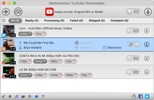 MediaHuman YouTube Downloader Crack + Key