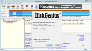 DiskGenius Professional Crack + License Code